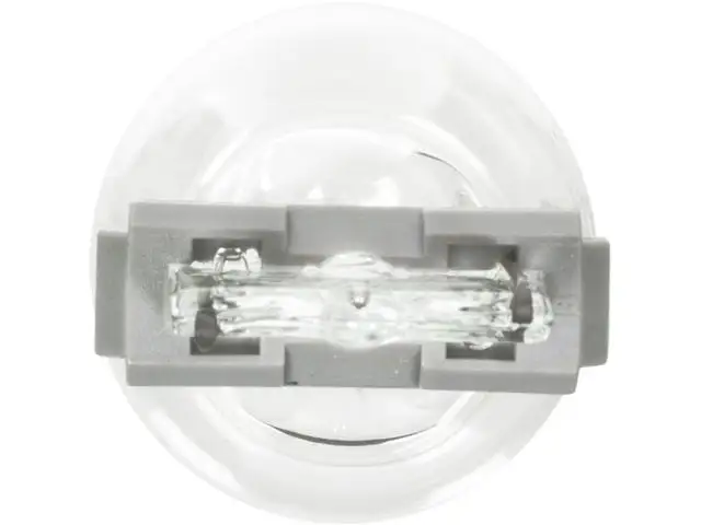 Back Up Light Bulb - Compatible with 1989 - 2007 Ford Ranger 1990 1991 1992 1993 1994 1995 1996 1997 1998 1999 2000 2001 2002 2003 2004 2005 2006