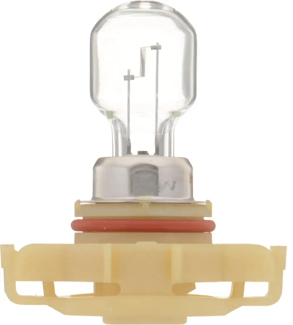 Philips Fog Light Bulb